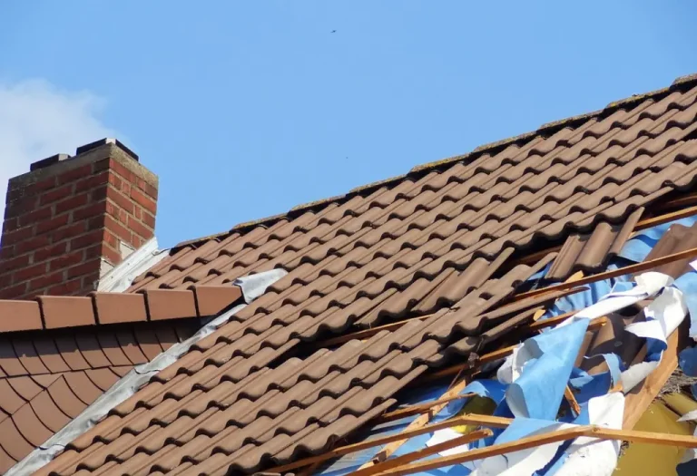 Why Terracotta Tile Restoration is Essential for Wollongong Roofs